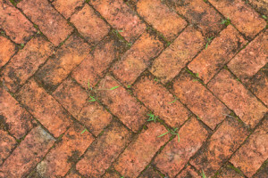 How to Keep Patios Clean From Moss and Mold Fernandez Masonry Santa Rosa